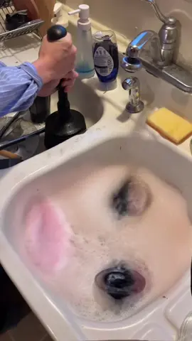 ౨ৎ ˖ ࣪⊹ •🍓•⊹₊ ⋆୨ৎ#acab 