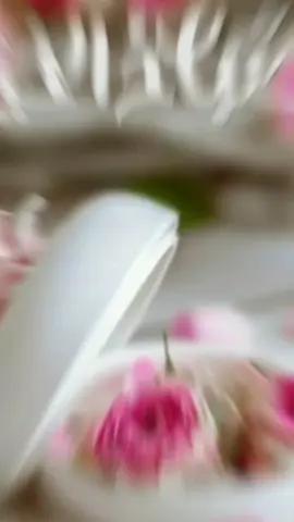صباح الخير 