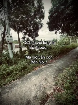 #_hieu_12011 #fbtxuhuong #ctxkxuhuong #ddnxuhuong #fypシ 