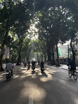 Vạn vật đều thua mùa thu Hà Nội #thuhanoi 