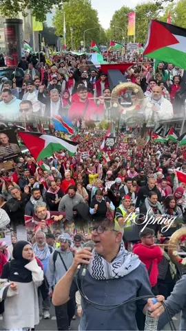@mashhourwahwahالمصور الفلسطيني  @آلگنعآنيّـه آليآفآويـّه✌︎︎𓂆  @🇵🇸Steini 2🇵🇸 