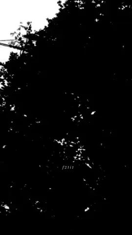 يهلي الوجع مابيه حيله.. #منتصر #ترند #اكسبلور #fyp 