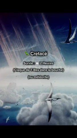 Le Mésozidue, aussi appelé « lère des que dinosaures », s'étend de -252 à -66 millions d'années et se divise en trois grandes périodes : le Trias, le Jurassique et le Crétacé. Si tu étais catapulté à chacune de ces époques, voici combien de temps tu survivrais... et pourquoi : • Trias (-252 à -201 Ma) : 24 heures. La chaleur extrême et l'absence d'eau potable auraient vite raison de toi. Et si ce n'est pas la soif, ce sont les premiers dinosaures ou crocodiliens qui t'auraient chassé. Jurassique (-201 à -145 Ma) : 4 heures. Tu aurais à peine le temps d'explorer avant de tomber sur une flore toxique, un climat difficile... ou un dinosaure carnivore bien décidé à faire de toi son repas. Crétacé (-145 à -66 Ma) : 2 heures. Entre un T. rex qui peut te malaxer et la fameuse météorite qui mettra fin à cette ère... inutile de rêver d'une longue survie. Le Mésozoïque est une ère de géants, de prédateurs et de bouleversements planétaires. Autant dire que tu n'aurais pas fait long feu... #dinosaure #jurassique #prehistoire #histoire #pourtoi 