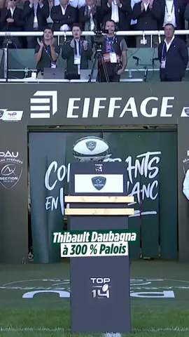 Aussi haut que le pic d'Ossau 🏔️ 300e match en vert et blanc pour Thibault Daubagna l'emblématique demi de mêlée de la @Section Paloise Béarn Pyrénées 👏 #TOP14