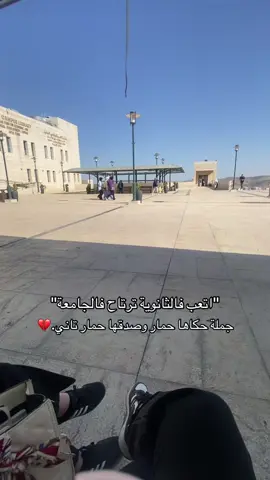 #جامعة النجاج الوطنية#تخصص 