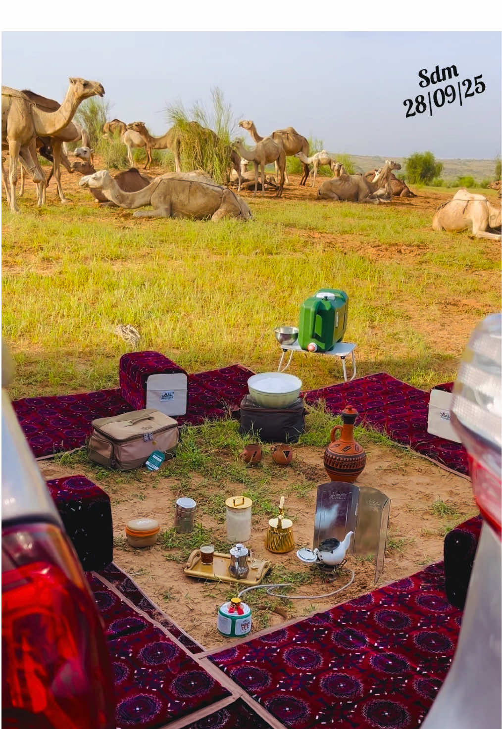💚گــرو ءاگجـيرة💚