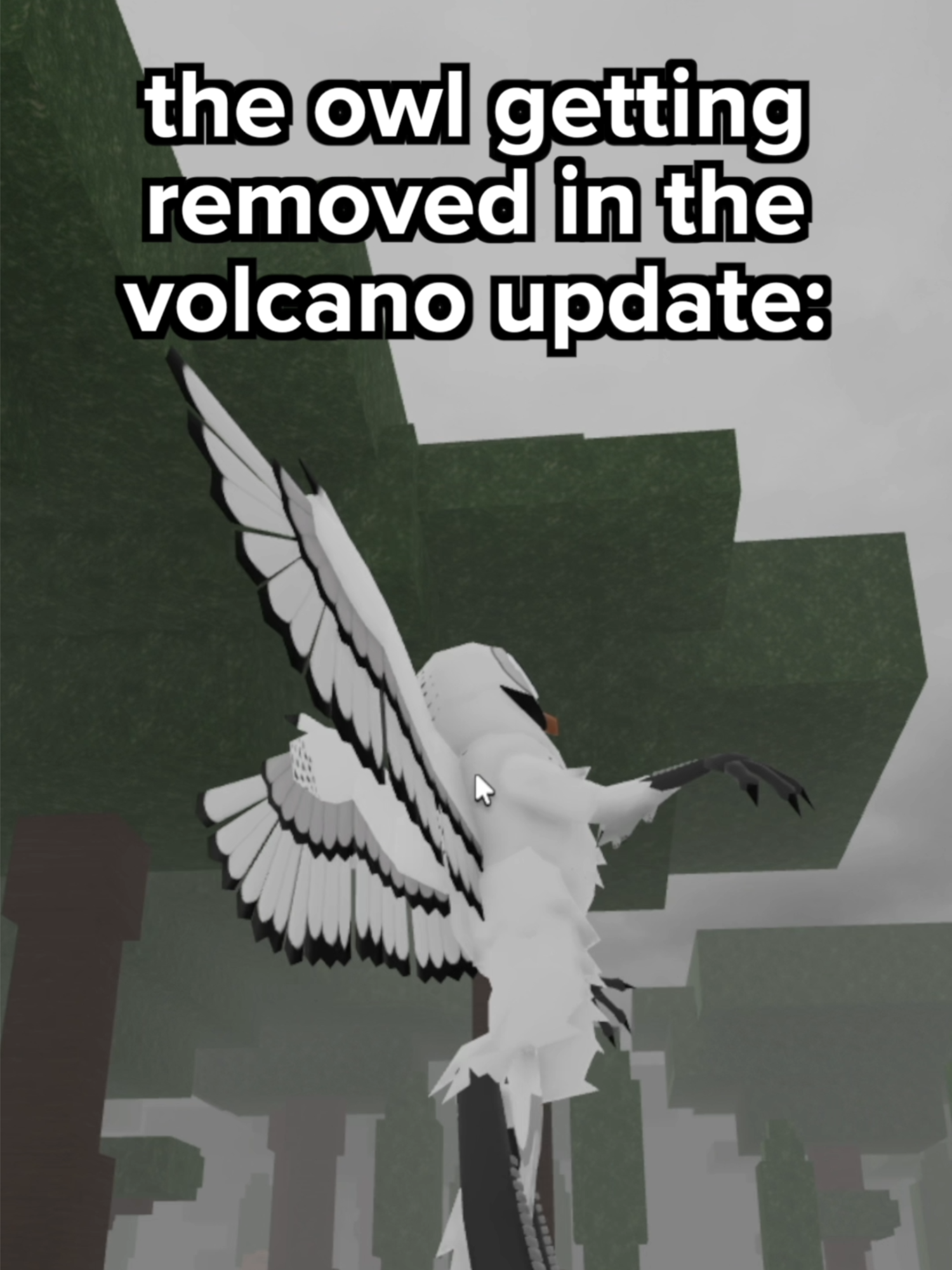 the owl getting removed in the volcano update 🦉 #roblox #99nightsintheforest #robloxmemes