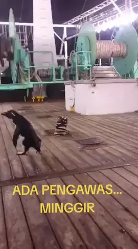 #FYP #FFFFFFFFFFFYYYYYYYYYYYPPPPPPPPPPPP 