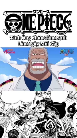 Luffy bị ông nội Garp đấm 1 cú đấm yêu thương #bangmurom #onepiece #anime #fyp #viral 