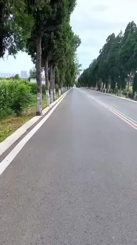 #viralvideo