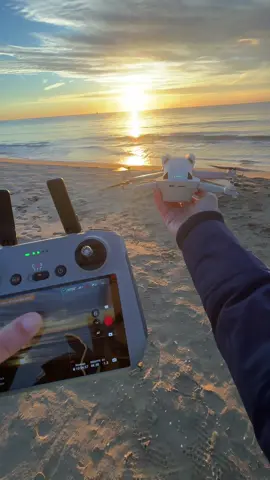Course avec la mouette 🦅🚁 #drone #dronevideo #djimini4pro #dji #dronefilter 