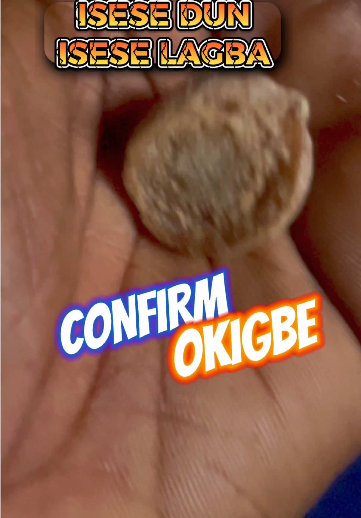 Confirm Okigbe #iseselagba #fyppppppppppppppppppppppp #fyp 