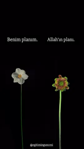 Hayat bazen planladığımız gibi gitmez, ama Allah size daha güzel bir kapı açmaktadır. 