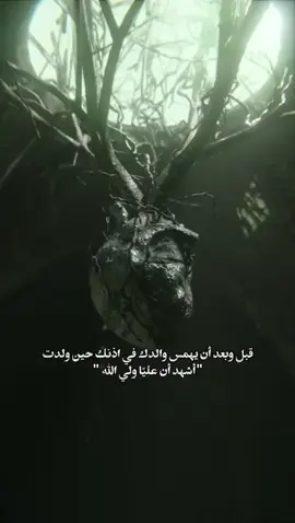 #شيعة_الامام_علي_عليه_السلام #أ