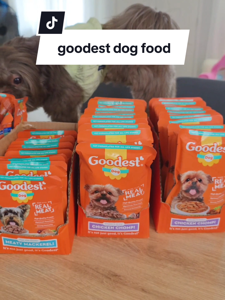 sulit pala sa tiktok kaya dinamihan ko na ang bili netong wet dog food #goodestdogfood #dogfood #dogwetfood #wetdogfood #wetfoodfordogs 