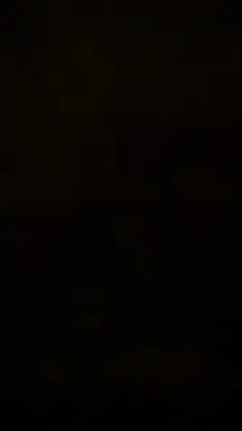 #CapCut 