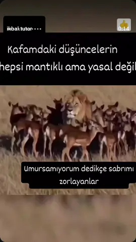 #keşfet #ankara #bursa #bursa 