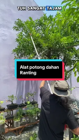 Alat potong dahan teleskopik #modalkontendoang #alatpotongrumput #gunting #gergaji #renosteelshop 