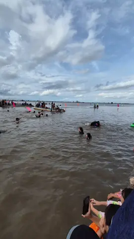 Bãi tắm đồng Vĩnh Lộc an giang mùa nước nổi #daochitam94 #xuhuong #lehoi 