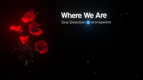 Did we ever know? #lyrics #whereweare #onedirection #musicvibes #foryou 