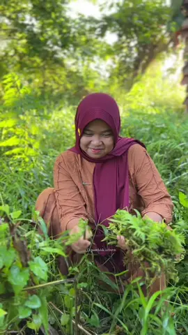 Petik sayur pakis || masak ikan mas dicampur daun asam makan sederhana dipondok kebun #sederhana #bahagia #vibes #alam #pondokkebun #fy #kalimantan 