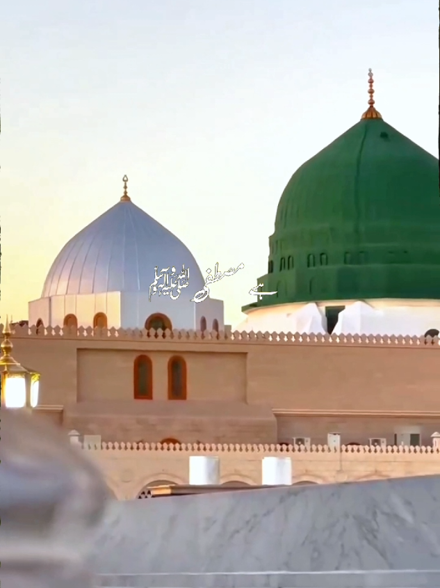 Part 96 | جان حاضر ہے مصطفی ﷺ کے لیے 💕💯 #fyp #naat #naatsharif #foryoupage❤️❤️ #viral 