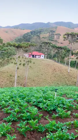 #bomdiaabençoado #simplaodetudo #roca #viral #mg 🙏🏻🤠🌳🌾🌿