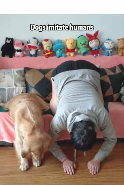 Dog imitates man🥰🤣#dog #dogsoftiktok #dogs #pet #funny #cute