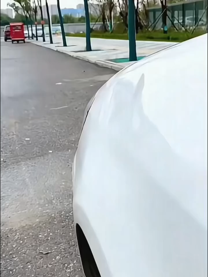 Car Body Dents-Remover Puller Cups