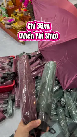 Ô dù che nắng che mưa miễn ship #xuhuong 