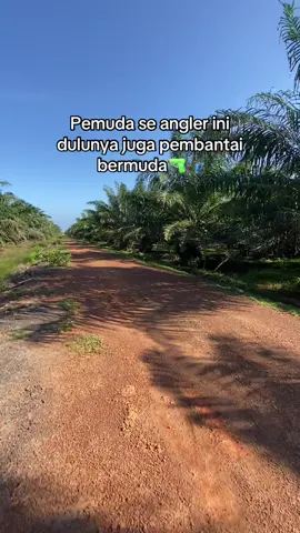 Akhirnya pensiun juga🗿#storymancing #mancing #castingfishing🎣 #foryoupage #meszy2006 