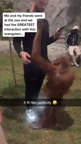 #foryoupage #viral #fyp #trending #foryou video found via @Pubity 