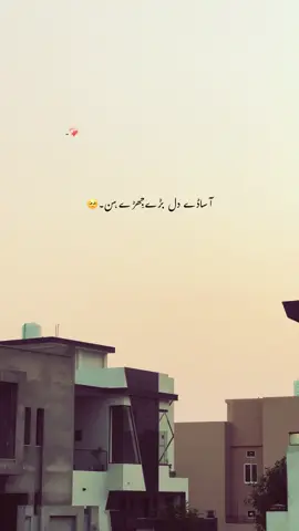 کیا کہا نقصان ؟ 🖤 کہا سے شروع کروں پھر ؟؟ 🥀 میری پڑھائی سے ؟ 💔 یا آنکھوں کےحلقوں سے ؟😰 یا پھر میری بیمار طبیعت سے؟🥺  یا پھر میری یہ بیزاری، کہا سے شروع کروں؟؟🍂 #foryou #foryourpages #poetry #aesthatic #poetrystatus 