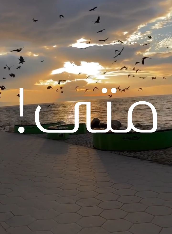 متى..!🍂🖤 . . . #متى_تعود_ايامك #متى #زمن #زمن_الجميل #عصام_الشوالي 