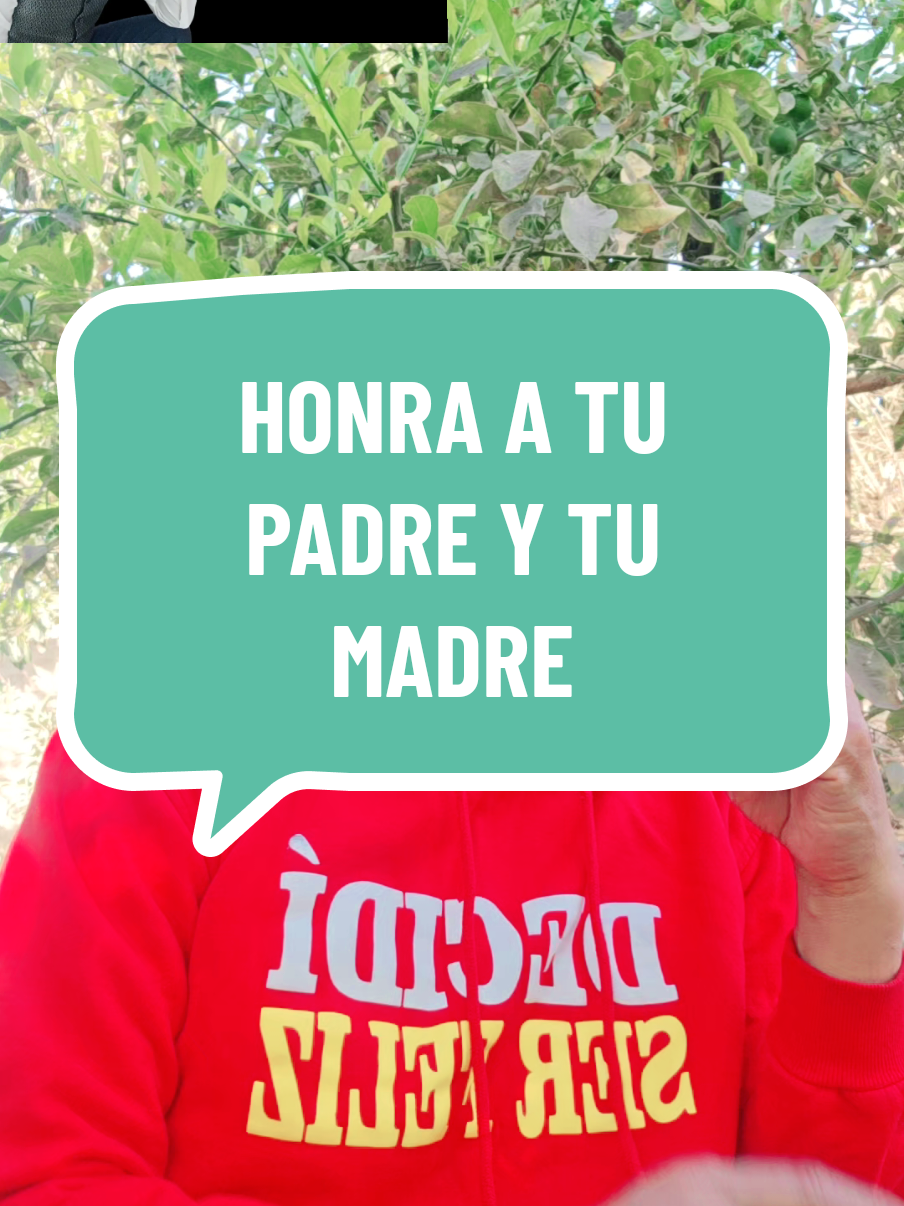Honra a tu Padre y Madre. Es en vida cuando se valora a los seres que nos dieron vida,  el resto déjalo a Dios,  tú ni yo estamos autorizados a juzgar a nuestros padres. Fulltwoday en Lima, Perú  Entrenamientoen ventas, marca personal, mente humana, sanación espiritual.  25 y 26 Octubre + PDP Solicita información. Los veré cuando los vea! Tu Coach de confianza  Coach PNL Dennis Tapia 🇵🇪  #coachdennistapia #honraalospadres #calidaddevida #felicidad #coaching 