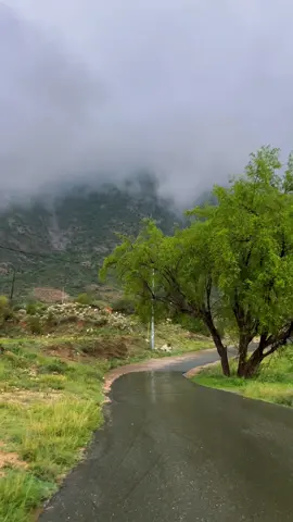 #اكسبلورexplore #لايك 