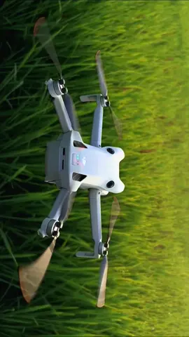Lelah kota, sembuh di desa. Ingatlah, kebahagiaan sering kali ditemukan di tempat yang paling sederhana #dji 