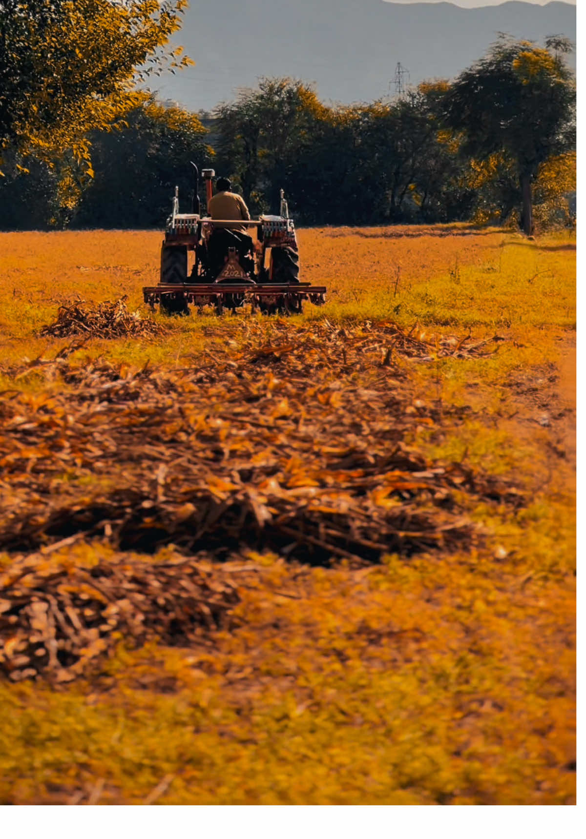 ❤️‍🩹🥺…..#fyp #foryoupage #poshto_poetry #1millionaudition #viral_video 