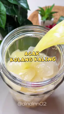 Udah pada nyobain belum nih ? Kalau aku jujur lebih suka sebelum di fermentasi , kalau mau nyobain fermentasi nya jgn lama” cukup 1-2 jam aja biar rasanya masih segar enak 🤭 beda cerita kalau mau ngejar probiotik nya harus fermentasi seharian ya  Acar Kolang Kaling  Bahan : 1Kg Kolang kaling  (Remas pake garam lalu cuci bersih) 2bh Jus Nanas 1/2 sdt Garam 6 sdm Madu 15 Jeruk kasturi / Kalamansi / Lemon Fermentasi min 1 hari disuhu ruang baru simpan di kulkas . Tahan 3-4 hari saja . #acarkolangkaling #kolangkaling #resepviral #reseptiktok #fyp 
