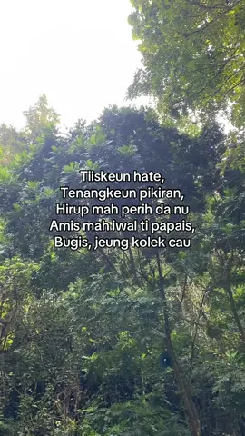 Hirup mah peurih Gaskeun barudak main kecitumang info booking citumang DM atau klik link dibio🤩 @Guide.citumangriver  @Citumang Pangandaran  #citumang #citumangbodyrafting #fyf #pangandaran 