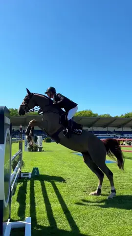 🫨🫨 #foryou #viral #equestrian #horses #showjumping 