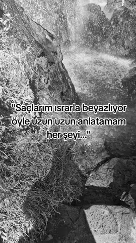 #yaralandınmıeycan #azerbülbül #keşfet #arabeskşarkılar #keşfetbeniöneçıkar 