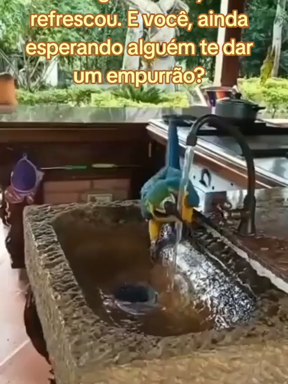 #BrazilTrend #TomaToma #FreeFire #HairCheck #UFCFight Creator Search InsightsTópicos Tendência 40 59M 27M Encarada Wanderlei x Popó. O momento que entrega a força do   Spaten Fight Night. #AprecieComModeração 5.5M