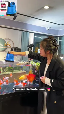Pam air ni sesuai untuk kolam ikan saiz besar tau. Pam air ni boleh pam air sampai 4500 l per jam. Paling best pam air ni guna plug 3 pin ada fius. Pam air ni nak guna untuk akuarium pun boleh. Cek kat beg kuning sekarang tengah promo tau pam air ni. 😍😍 #pamair #pamkolam #pamaquarium #aquariumpump #aquariumfilter#fyp 