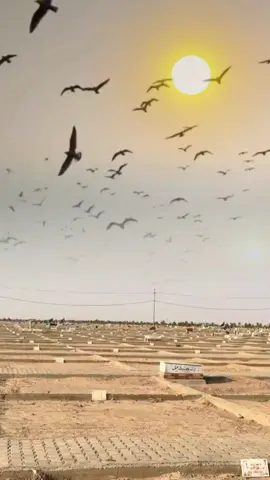 #สตอรี่ความรู้สึก #CapCut #fyp 