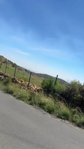 #ابها #اكسبلور 