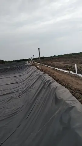 #pemasang terpal HDPE 