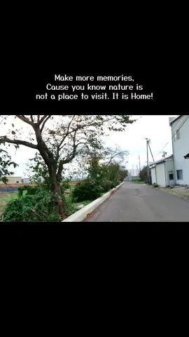 God's creation 🍃 #japan #countryside 