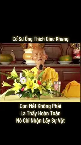Con mắt không phải là thấy hoàn toàn mà nó chỉ nhận lấy sự vật #thichgiackhang #phatphap #phatgiao #phatphapnhiemmau #thuyetphap 