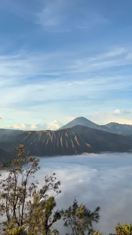 Open trip mulai 275k bisa keliling bromo 5 destinasi😍 #opentripbromo #privatetripbromo #bromotenggersemeru #fyp 